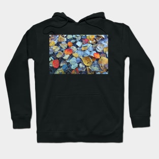 Fallen Leaves Hoodie